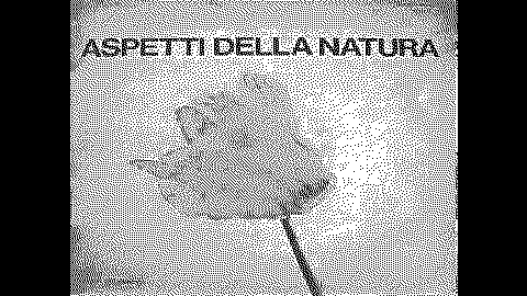 Thumbnail for Marco Melchiori - Paesaggio D'Oblio